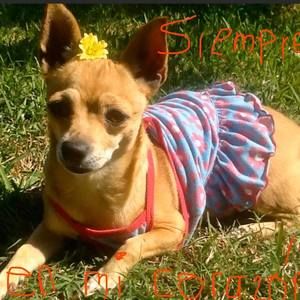 Meet your Posher, Lauris